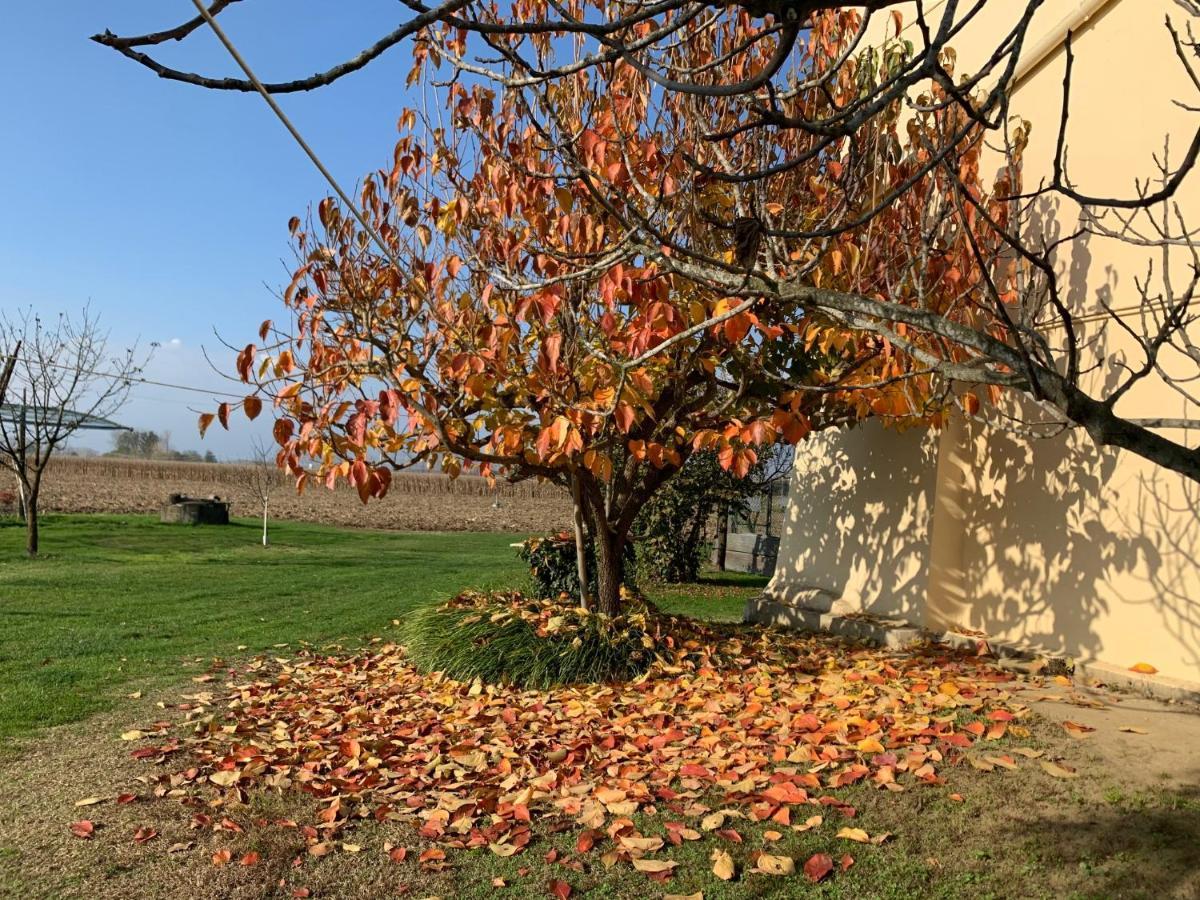 فيلا Agriturismo Cascina Mariale Albiano dʼIvrea المظهر الخارجي الصورة