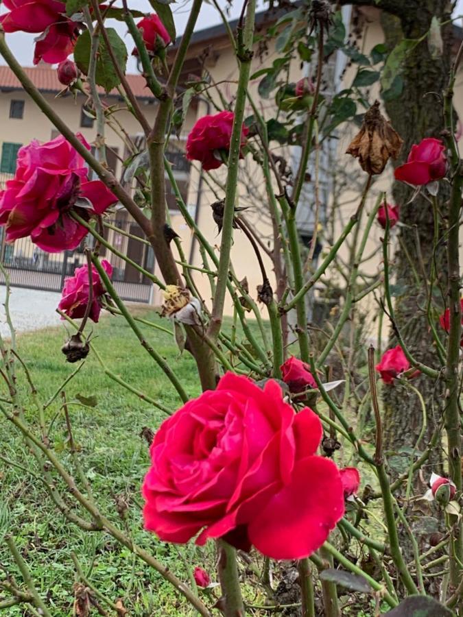 فيلا Agriturismo Cascina Mariale Albiano dʼIvrea المظهر الخارجي الصورة